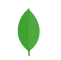 MongoDB